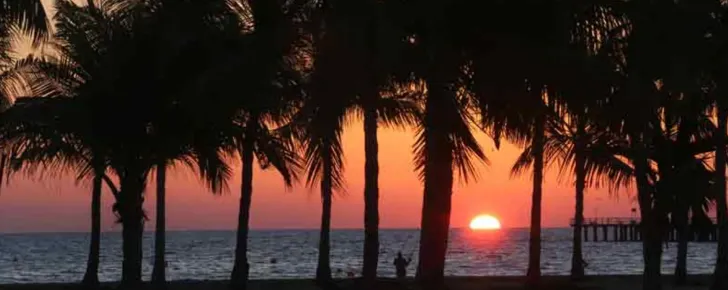 بهترین زمان برای بازدید از ساحل درختان نارگیل کیش