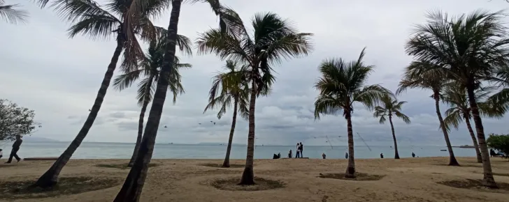 نکان مهم هنگام بازدید از ساحل ها